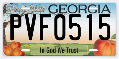 GA license plate PVF0515