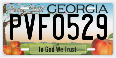 GA license plate PVF0529