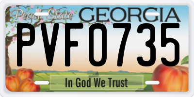 GA license plate PVF0735