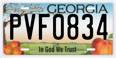 GA license plate PVF0834