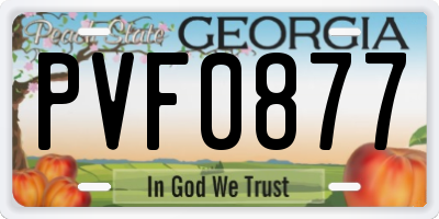 GA license plate PVF0877
