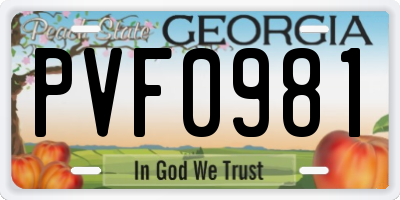 GA license plate PVF0981