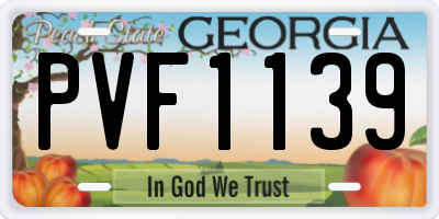 GA license plate PVF1139