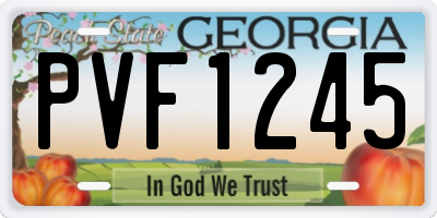 GA license plate PVF1245
