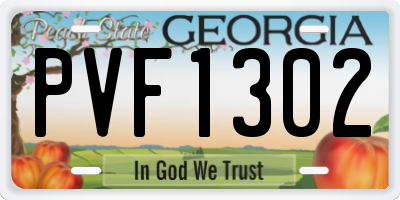 GA license plate PVF1302
