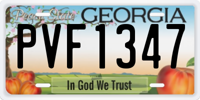 GA license plate PVF1347