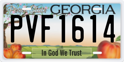 GA license plate PVF1614