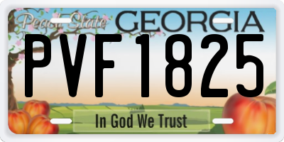 GA license plate PVF1825