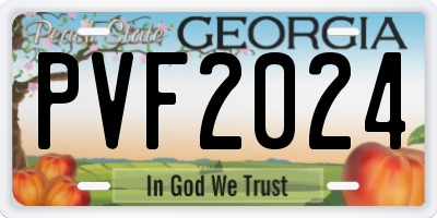 GA license plate PVF2024