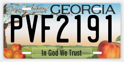 GA license plate PVF2191