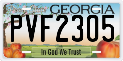 GA license plate PVF2305