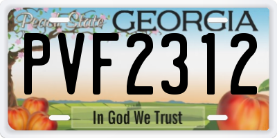 GA license plate PVF2312