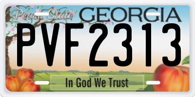 GA license plate PVF2313