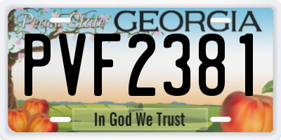 GA license plate PVF2381
