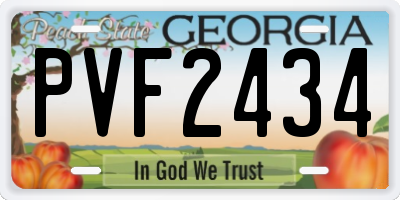 GA license plate PVF2434