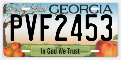 GA license plate PVF2453