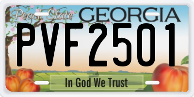 GA license plate PVF2501