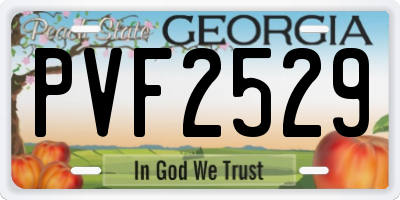 GA license plate PVF2529
