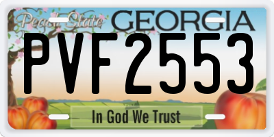 GA license plate PVF2553