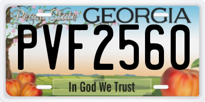 GA license plate PVF2560