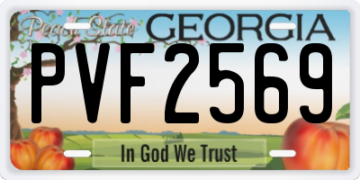 GA license plate PVF2569