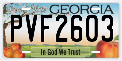 GA license plate PVF2603