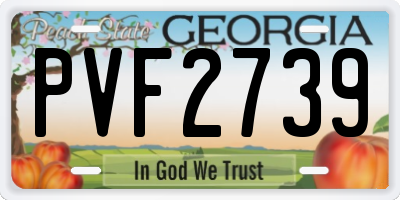 GA license plate PVF2739