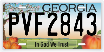 GA license plate PVF2843