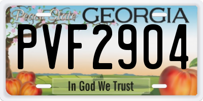 GA license plate PVF2904