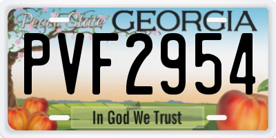 GA license plate PVF2954