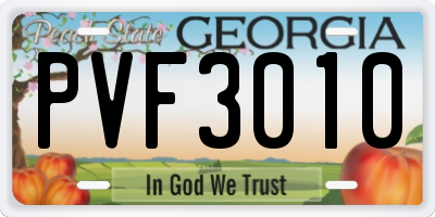 GA license plate PVF3010