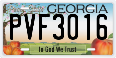 GA license plate PVF3016