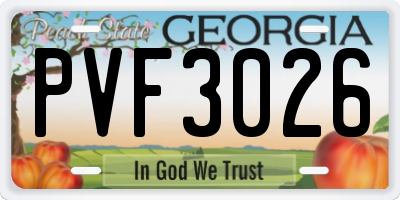 GA license plate PVF3026