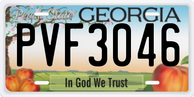 GA license plate PVF3046