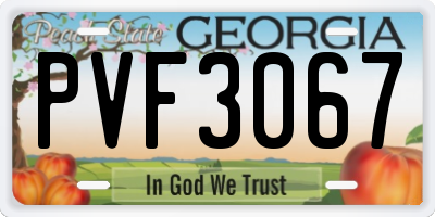 GA license plate PVF3067