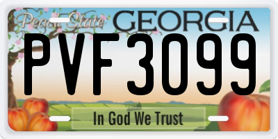 GA license plate PVF3099