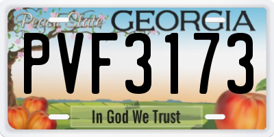 GA license plate PVF3173