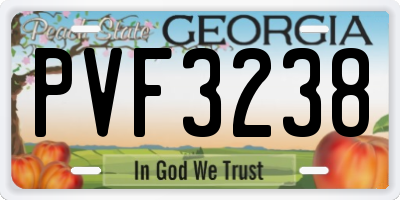 GA license plate PVF3238