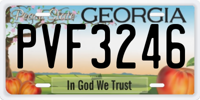 GA license plate PVF3246