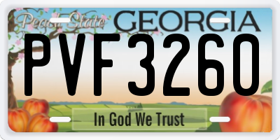 GA license plate PVF3260