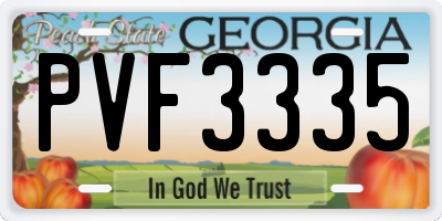 GA license plate PVF3335
