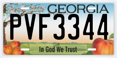 GA license plate PVF3344