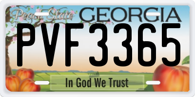 GA license plate PVF3365