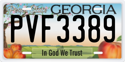 GA license plate PVF3389