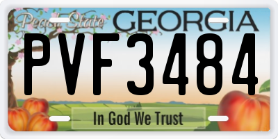 GA license plate PVF3484