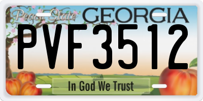 GA license plate PVF3512