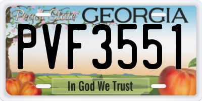 GA license plate PVF3551
