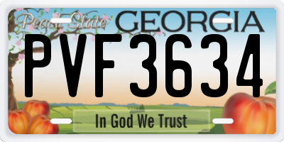 GA license plate PVF3634