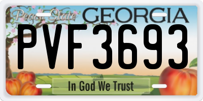 GA license plate PVF3693