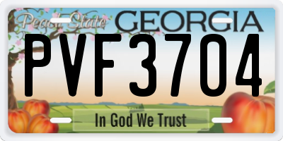 GA license plate PVF3704